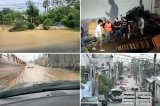 articulo relacionado