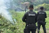 articulo relacionado
