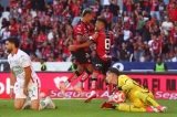 articulo relacionado