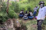 articulo relacionado