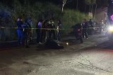 articulo relacionado