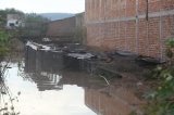 articulo relacionado