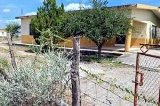 articulo relacionado