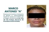 articulo relacionado