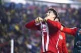 articulo relacionado