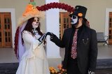 articulo relacionado
