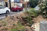 articulo relacionado