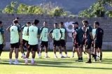 articulo relacionado