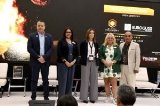 articulo relacionado