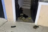 articulo relacionado