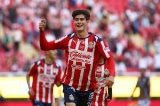articulo relacionado