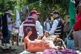 articulo relacionado