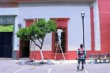 articulo relacionado