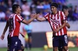 articulo relacionado