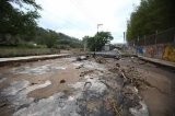 articulo relacionado