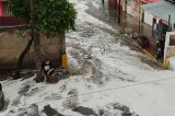 articulo relacionado