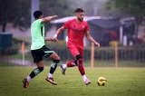 articulo relacionado