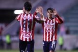 articulo relacionado