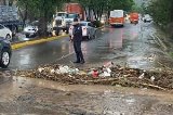 articulo relacionado