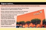 articulo relacionado