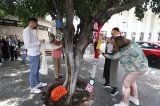 articulo relacionado