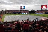 articulo relacionado