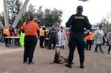 articulo relacionado
