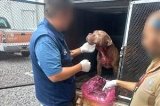 articulo relacionado
