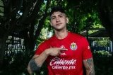 articulo relacionado