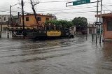 articulo relacionado