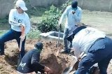 articulo relacionado