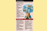 articulo relacionado