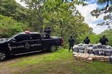 articulo relacionado