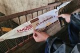 articulo relacionado