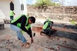 articulo relacionado