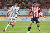 articulo relacionado