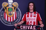articulo relacionado