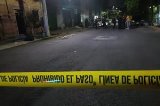 articulo relacionado