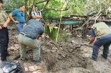 articulo relacionado