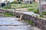articulo relacionado