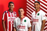 articulo relacionado