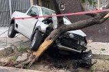 articulo relacionado