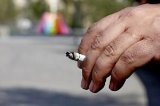 articulo relacionado