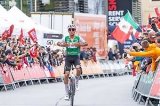 articulo relacionado