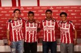articulo relacionado
