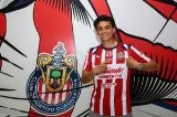 articulo relacionado