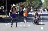 articulo relacionado
