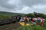 articulo relacionado