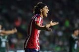 articulo relacionado