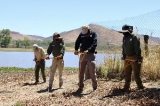 articulo relacionado